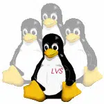 Linux Virtual Server ADC